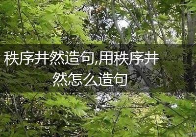 秩序井然造句,用秩序井然怎么造句