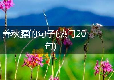 养秋膘的句子(热门20句)