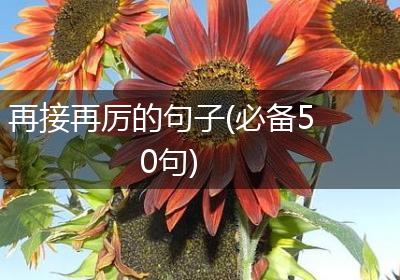 再接再厉的句子(必备50句)