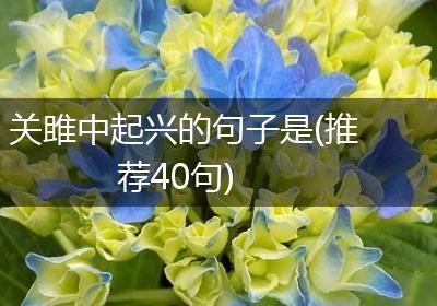 关雎中起兴的句子是(推荐40句)