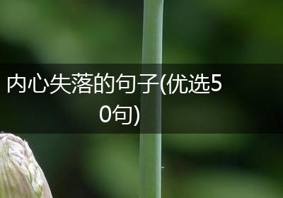内心失落的句子(优选50句)