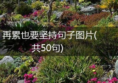 再累也要坚持句子图片(共50句)