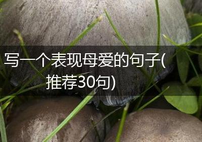 写一个表现母爱的句子(推荐30句)