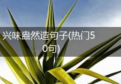 兴味盎然造句子(热门50句)
