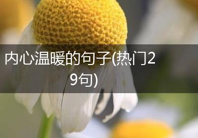 内心温暖的句子(热门29句)