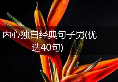 内心独白经典句子男(优选40句)