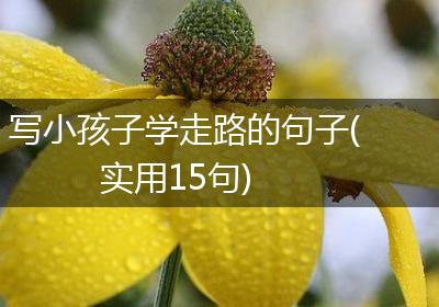 写小孩子学走路的句子(实用15句)