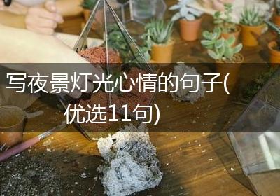 写夜景灯光心情的句子(优选11句)