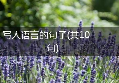 写人语言的句子(共10句)
