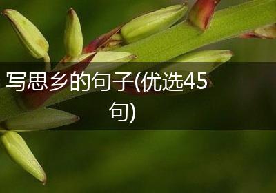 写思乡的句子(优选45句)