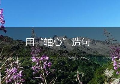 用“轴心”造句