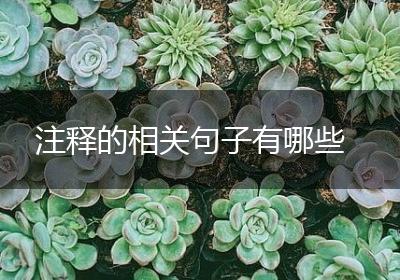 注释的相关句子有哪些
