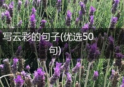 写云彩的句子(优选50句)