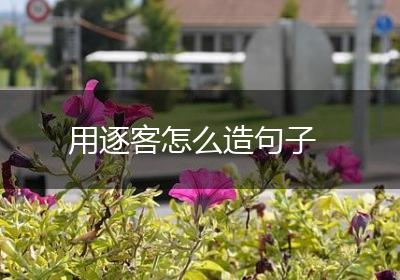 用逐客怎么造句子