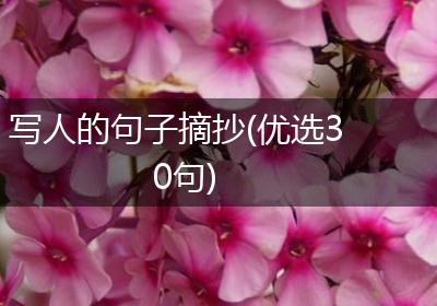 写人的句子摘抄(优选30句)