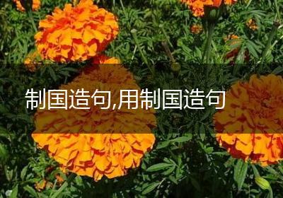 制国造句,用制国造句