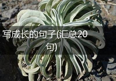 写成长的句子(汇总20句)