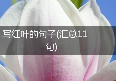 写红叶的句子(汇总11句)