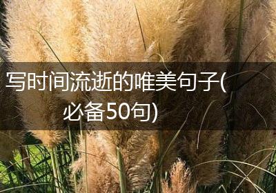 写时间流逝的唯美句子(必备50句)