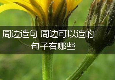 周边造句 周边可以造的句子有哪些
