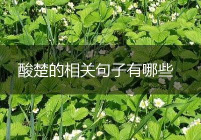 酸楚的相关句子有哪些