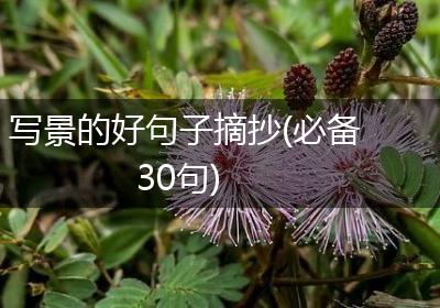 写景的好句子摘抄(必备30句)