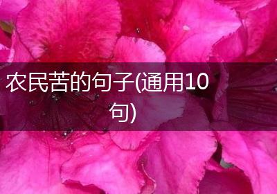 农民苦的句子(通用10句)