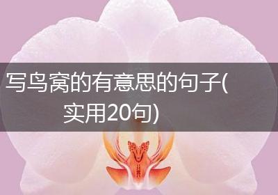 写鸟窝的有意思的句子(实用20句)