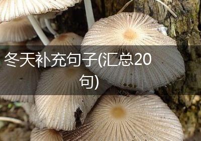 冬天补充句子(汇总20句)