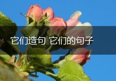 它们造句 它们的句子