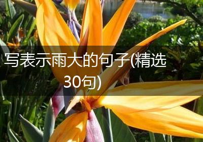 写表示雨大的句子(精选30句)
