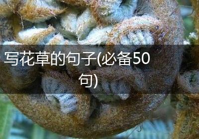 写花草的句子(必备50句)