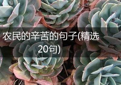 农民的辛苦的句子(精选20句)