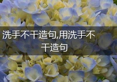 洗手不干造句,用洗手不干造句