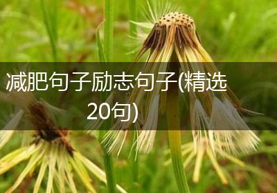 减肥句子励志句子(精选20句)