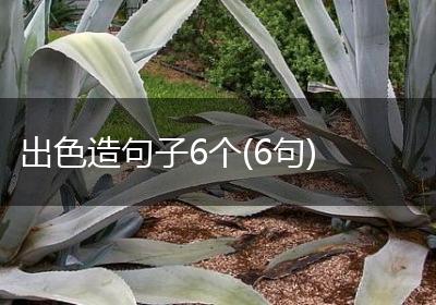 出色造句子6个(6句)