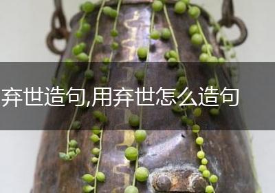 弃世造句,用弃世怎么造句