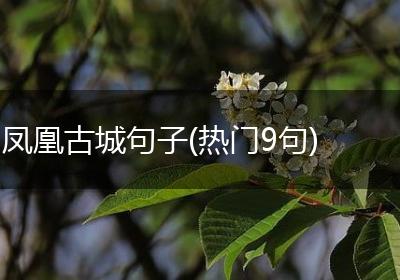 凤凰古城句子(热门9句)
