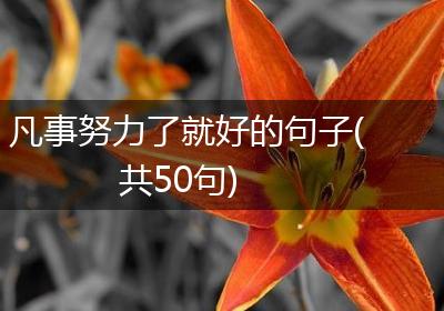 凡事努力了就好的句子(共50句)