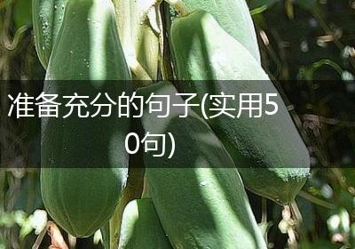 准备充分的句子(实用50句)