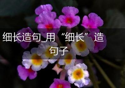 细长造句_用“细长”造句子