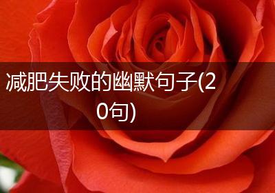 减肥失败的幽默句子(20句)