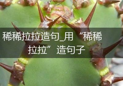 稀稀拉拉造句_用“稀稀拉拉”造句子