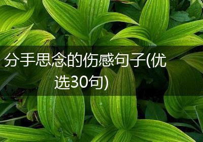 分手思念的伤感句子(优选30句)