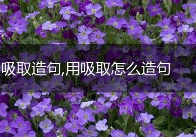 吸取造句,用吸取怎么造句