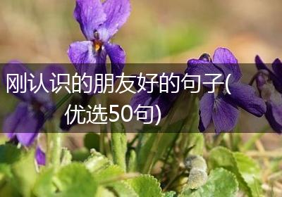 刚认识的朋友好的句子(优选50句)