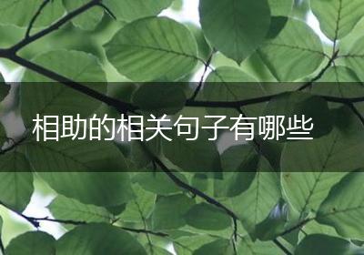 相助的相关句子有哪些