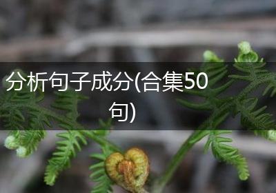 分析句子成分(合集50句)
