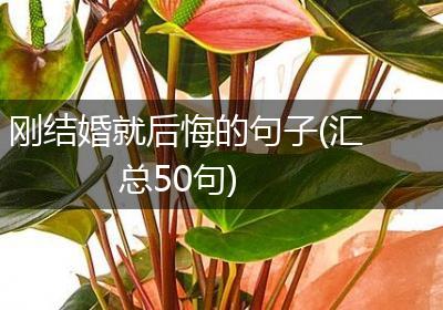 刚结婚就后悔的句子(汇总50句)