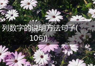 列数字的说明方法句子(10句)